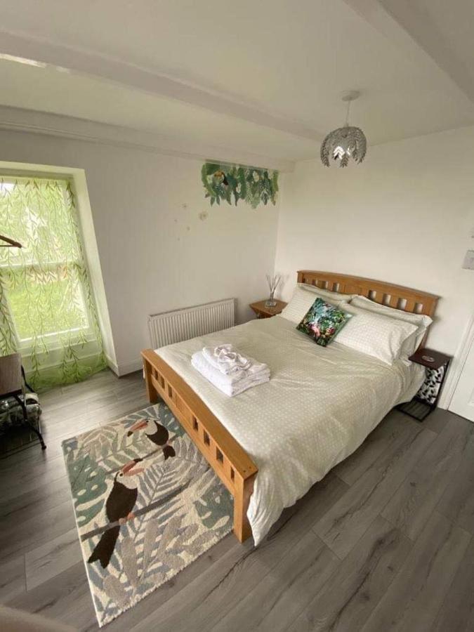 Woodlands Bellevue Bed & Breakfast 新码头 外观 照片